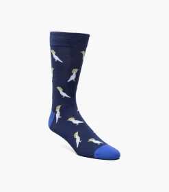 Cocky