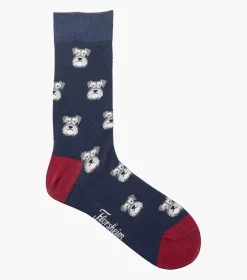 Schnauzer