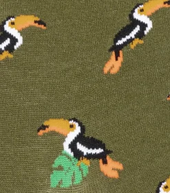 Toucan